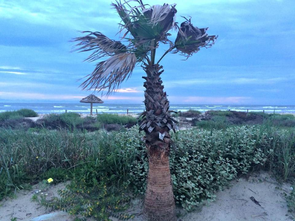 Unobstructed Oceanfront Sea Turtle Unit 2 Beach Pad! Surfside Beach Bagian luar foto