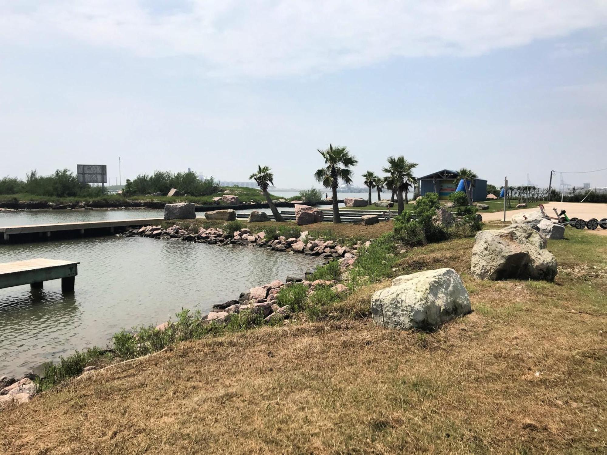 Unobstructed Oceanfront Sea Turtle Unit 2 Beach Pad! Surfside Beach Bagian luar foto
